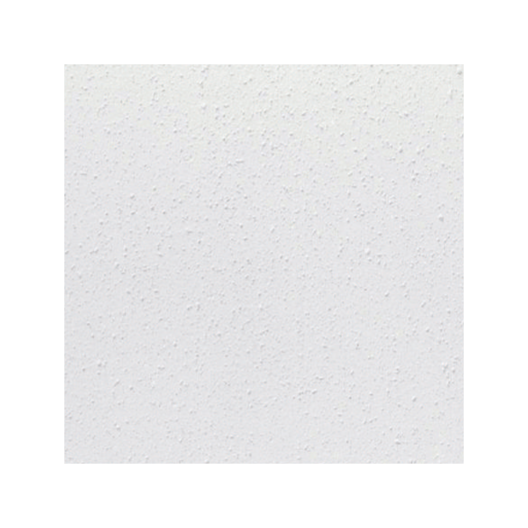 PLACA HORPAC COSMOS VISTO 610 X 610 X 20 MM.